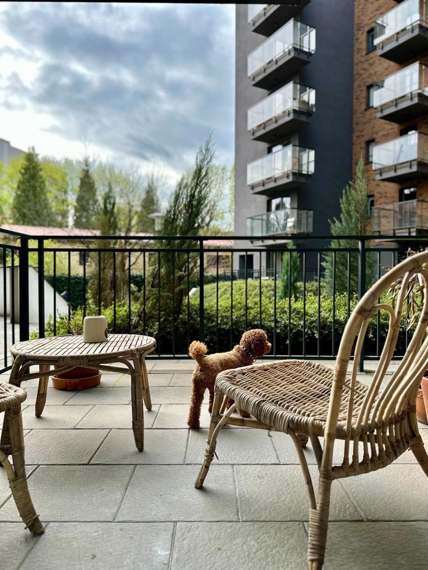 Pure Apartment N°1 Wrocław Eksteriør billede